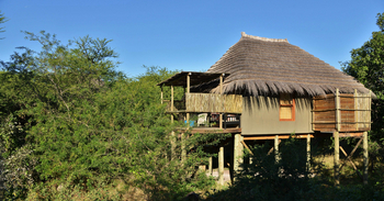Chobe Bakwena Lodge Chobe Bakwena Lodge: Treetop Chalet mit Reetdach