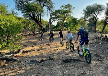 Koro River Camp: Mountainbike-Tour
