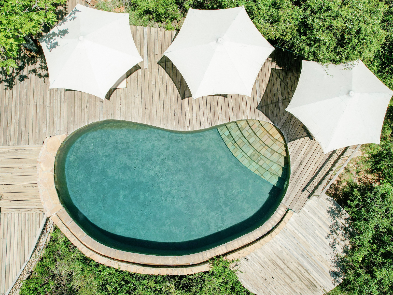 Mara Bushtops Mara Bushtops: Pool