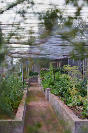 Nooishof: Haus und Hof