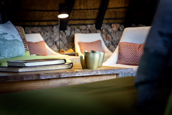 Ongava Tented Camp: Coffee Table