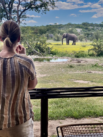 Ongava Tented Camp: Elefant im Devil's Thorn