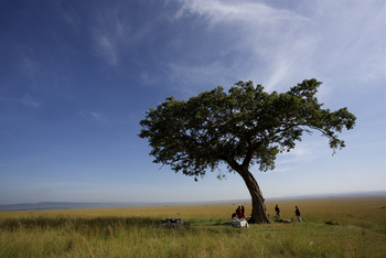 Richard's River Camp: Picknick