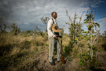 Bushman Plains Camp: Professioneller Bushman Guide