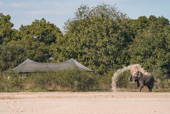 Chikunto Safari Lodge Chikunto Safari Lodge: Staubbad