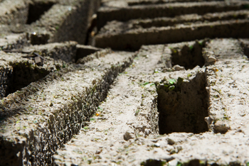Chobe Game Lodge: Wiederverwendung von Glas