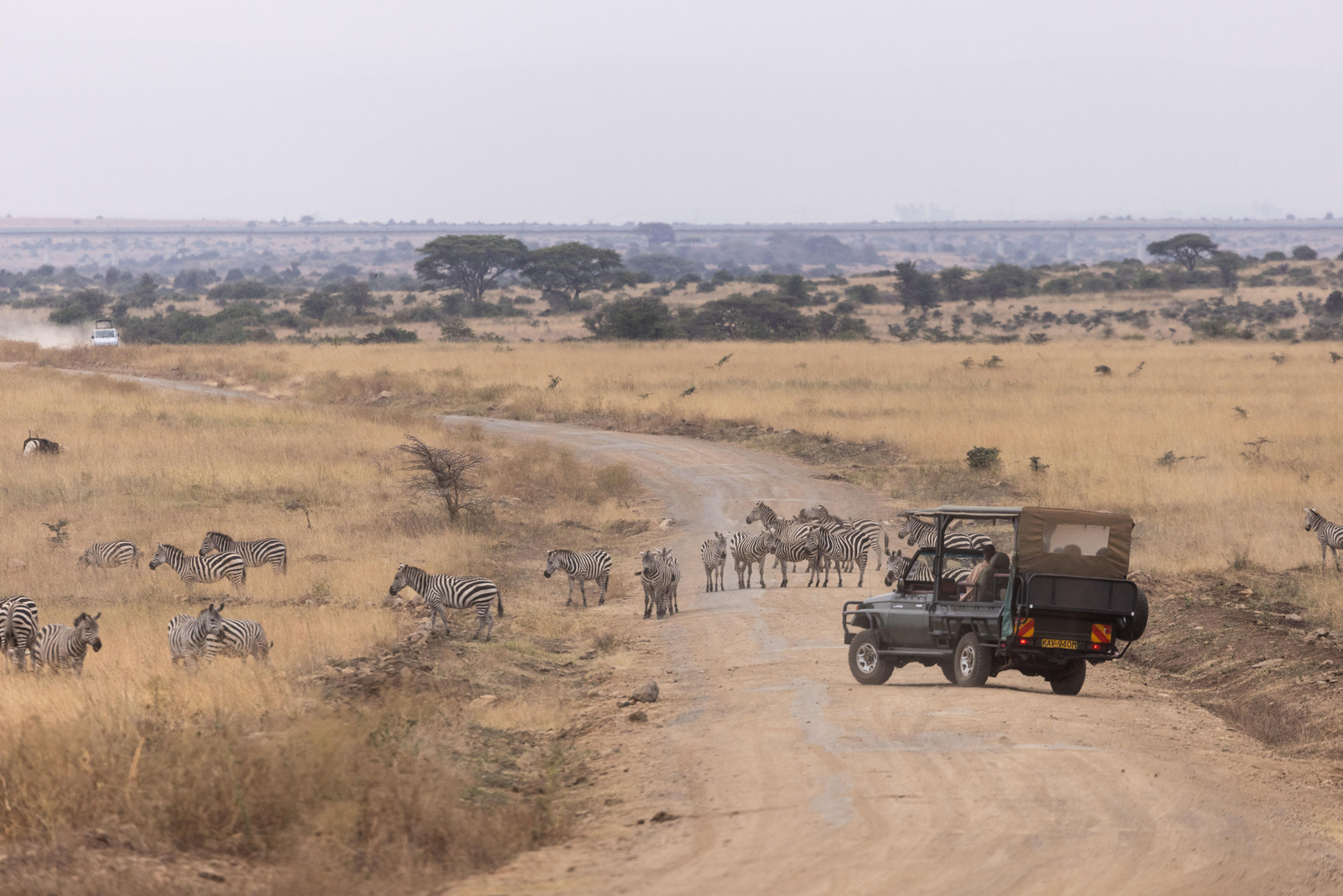 Giraffe Manor Giraffe Manor: Nairobi National Park