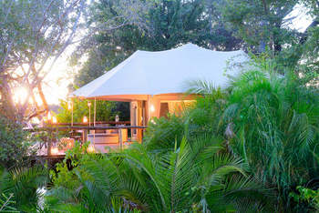 Ila Safari Lodge Ila Safari Lodge: Luxury Tent - Zeltdach