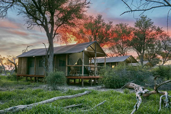 Mogogelo Camp Mogogelo Camp: Gästezelt - Außenansicht