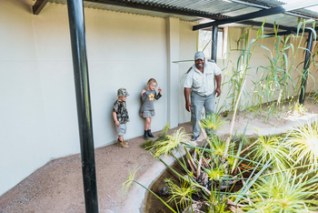 Old Traders Lodge: Game Drive für Kinder