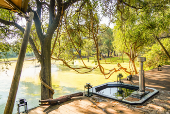 Painted Dogs Lagoon Camp: Plunge Pool