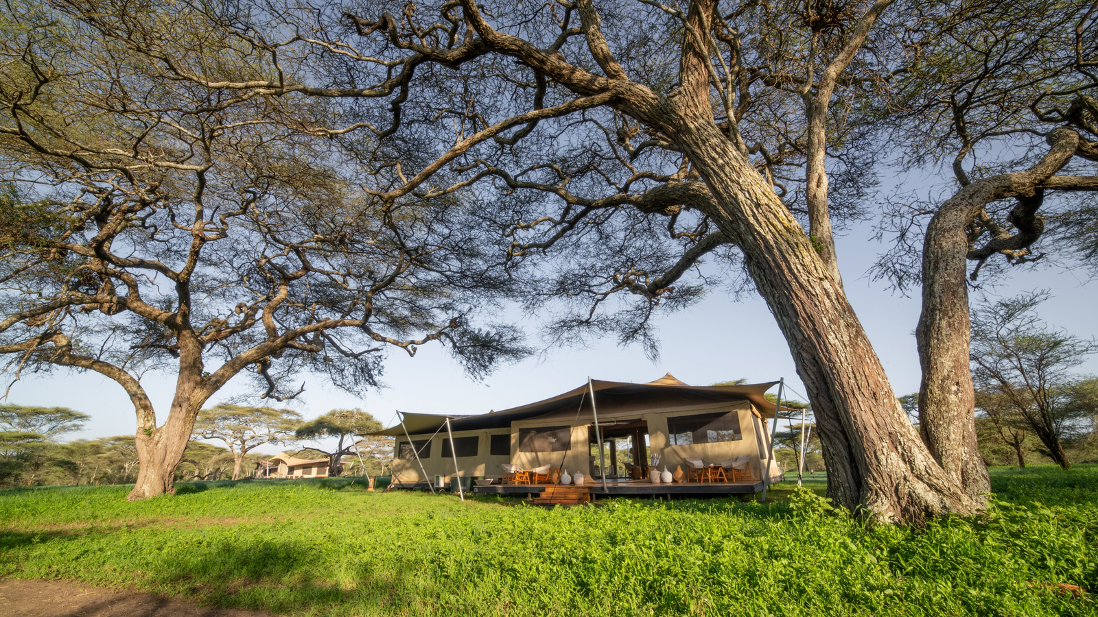 Roving Bushtops Camp Roving Bushtops Camp: Unter Bäumen