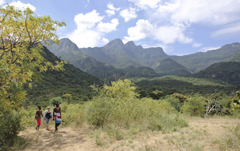 Sarara Tree: Geführter Bush Walk