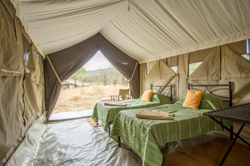Serengeti Kati Kati Tented Camp: Einzelbetten