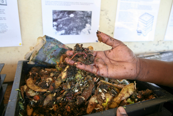 Toka Leya Camp Toka Leya Camp: Wurm in offener Hand