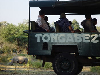 Tongabezi Tongabezi: Rhino