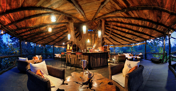 Treehouse Hideaway: Bar am Abend