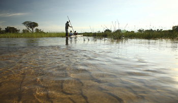 Xaranna Okavango Delta Camp: Fahrt durch seichtes Wasser