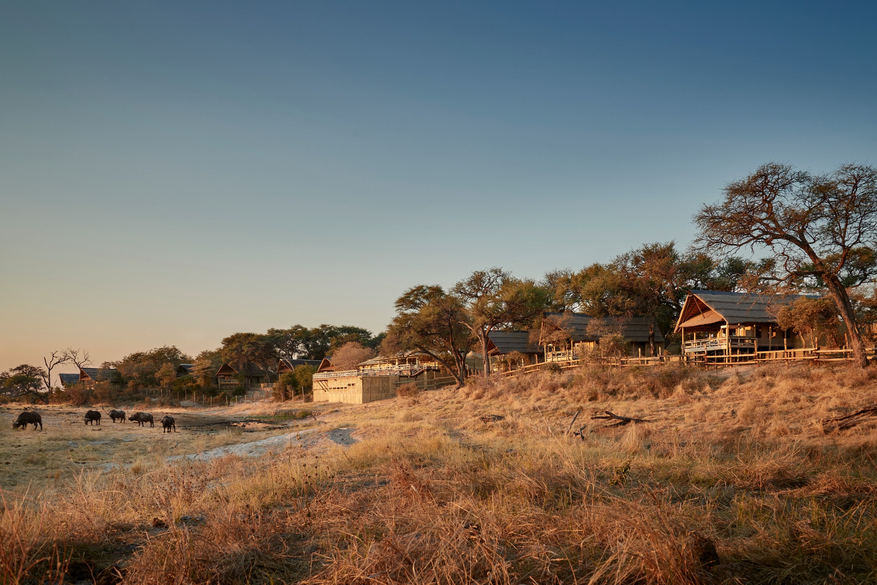 Belmond Savute Elephant Lodge