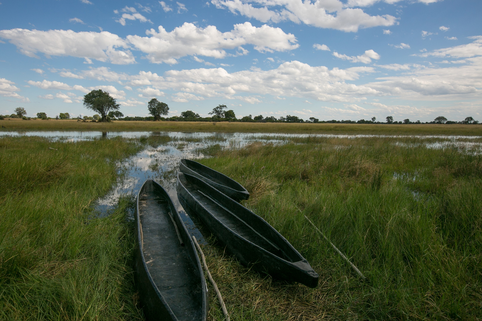 Bushman Plains Camp Bushman Plains Camp: Flaches Wasser für den Mokoro-Einstieg