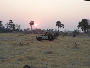 Camp Maru Camp Maru: Game Drive