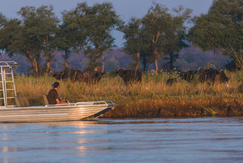 Classic Zambia Safaris Classic Zambia Safaris: Motorbootexkursion