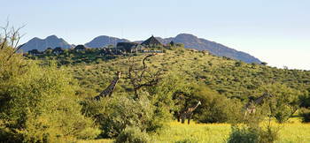 GocheGanas: Giraffen vor der Lodge