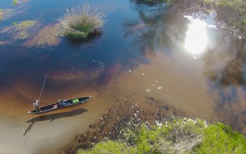 Gunn's Camp: Mokoroausflug