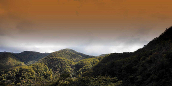 Jim's Jungle Retreat: Landschaft