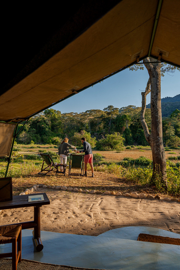 Kitich Forest Camp: Liegestühle in der Sonne