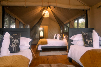 Mogotlho Safari Lodge Mogotlho Safari Lodge: Doppel- und Einzelbetten