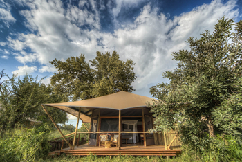 Nokanyana Camp: Standardzelt