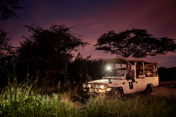 Sanctuary Kichakani Serengeti Camp Sanctuary Kichakani Serengeti Camp: Game Drive