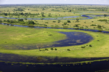 Selinda Explorers Camp Selinda Explorers Camp: Biegung am Spillway