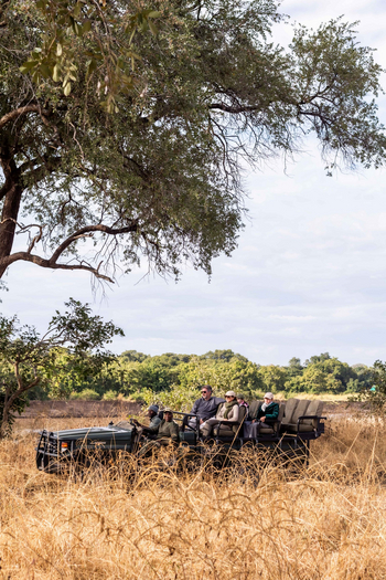 Time + Tide South Luangwa Time + Tide South Luangwa: Game Drives