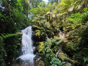 Buhoma Lodge: Wasserfall