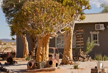 Canyon Roadhouse: Außenanlage mit Wegweiser