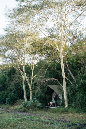 Chicari Camp: Zelt unter Bäumen