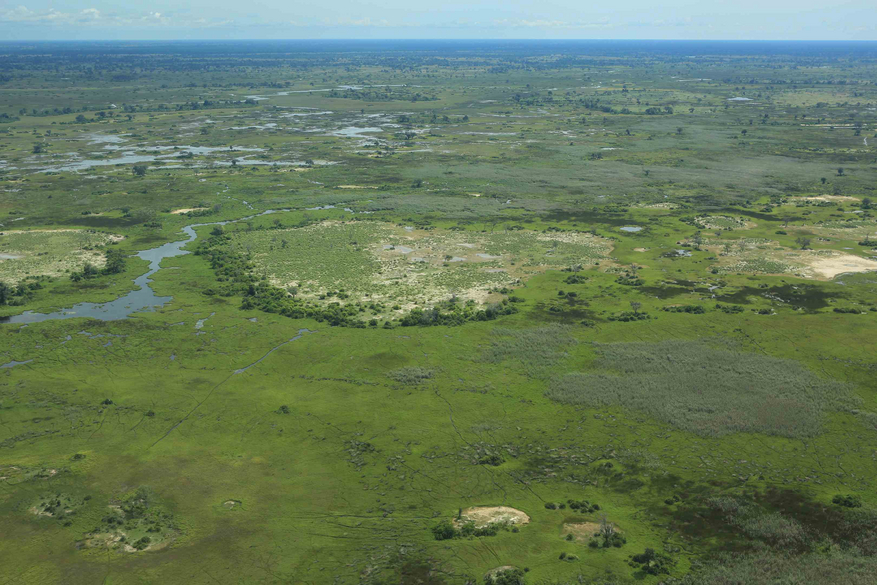 Duba Plains Camp