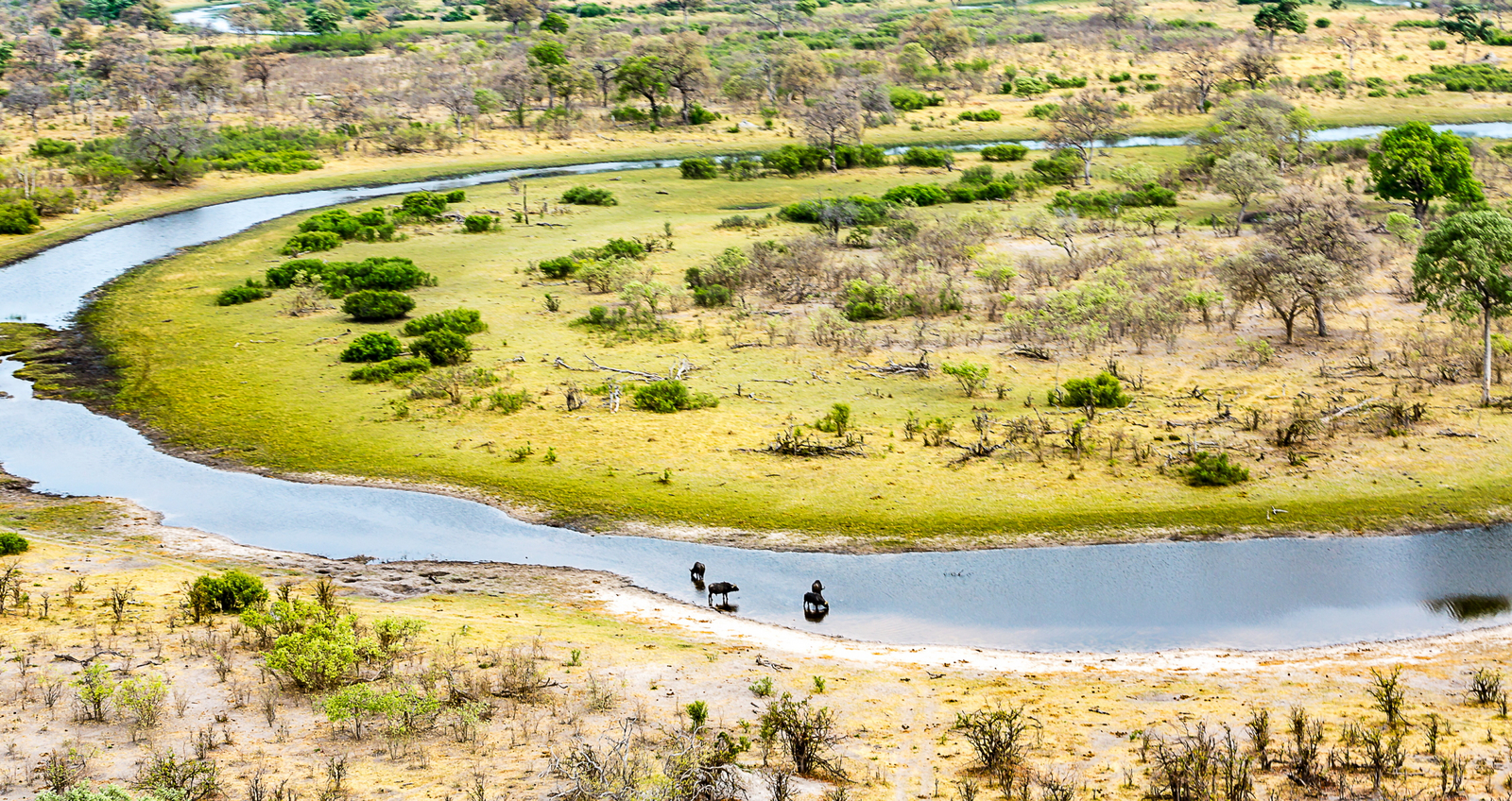 Lagoon Camp Lagoon Camp
