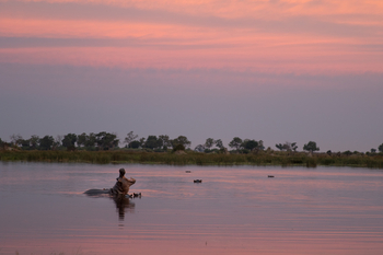 Lebala Camp Lebala Camp: Hippo