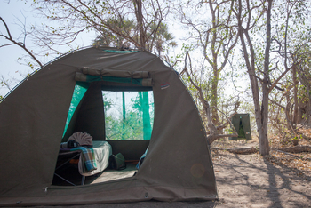 Moremi Crossing: Domzelt und Toilettenverschlag