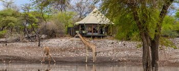 Onguma Tented Camp: Gästezelte