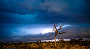 Tanda Tula Safari Camp: Landschaft