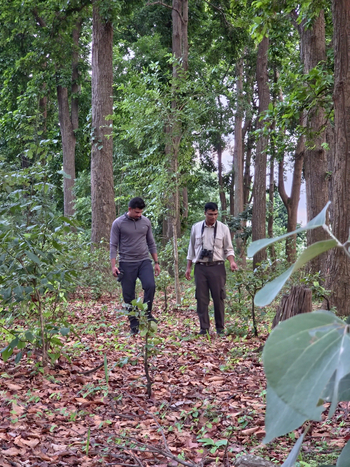 Tathastu Resort Kanha: Forest Walk