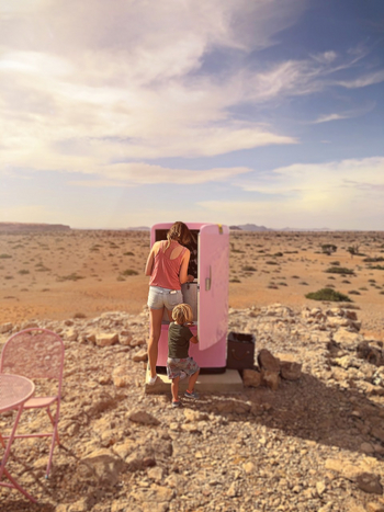 The Desert Grace: Pink Fridge