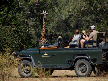 Time + Tide South Luangwa Time + Tide South Luangwa: Game Drives
