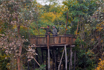 Treehouse Hideaway: Nature Guide auf dem Machan