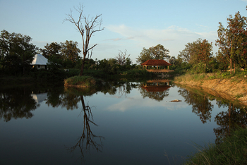 Tuli Tiger Corridor: Teich