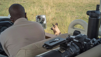 Xigera Safari Lodge Xigera Safari Lodge: Wildhundbegegnung